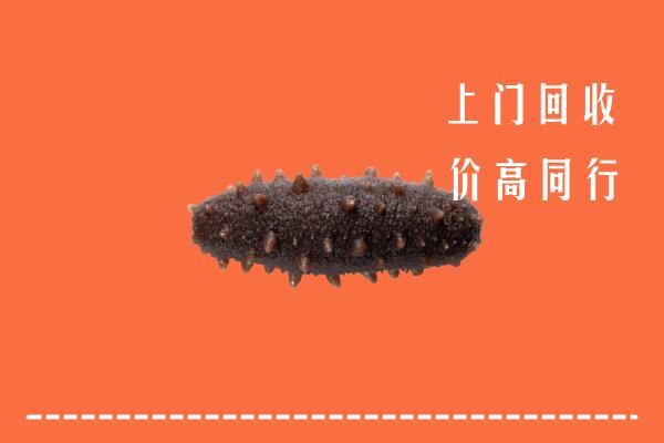 鹤壁市回收海参